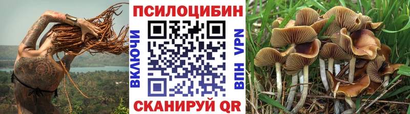 хочу   Советский  Галлюциногенные грибы Psilocybine cubensis 